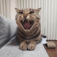 trixadfafafa