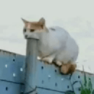ttf