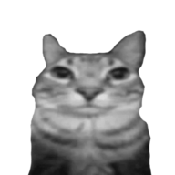 zolo