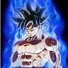 tamir
