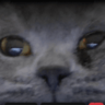 celyxullahh