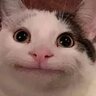 thepotato