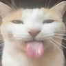 222222222