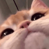 Bogdanuq