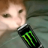 L4urNt1u