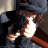glockzv2