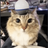 UberTABURET1