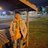 Mustfy_06