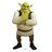 shrekselhocam