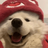 xam_cyphon