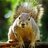 username1245231