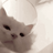 .hypron1