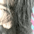 babin