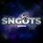 Sngots132