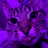 Snipey