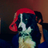Daxxse_