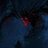 darkool133
