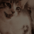 Blabk_Stuffy