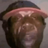 rolo123