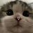 Spiderlye_