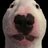 MEJESTICWALRUS1