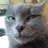 test13515dqd