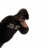ghostynfr