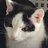joe_goldberg268