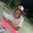 wsg2faded