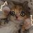 Lumi_f3m