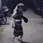 RiTe_271