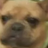 DogyX0