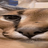 kub_230173