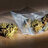 diamant