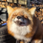 snowyfoxo