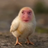 qwaszxqwaszx