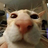 catinfinity