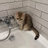 mvmplaye