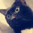 Grisha.dll_uisd