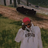 roylax1337