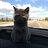 BlackDragonn