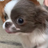 gfeagergbherg