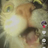 twivt