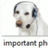 elpichipro777