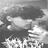 eqfefad