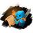 bingus66448