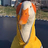 DuckAH1