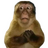 13334