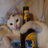 joegoldbergg