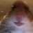 srgs\eeaw